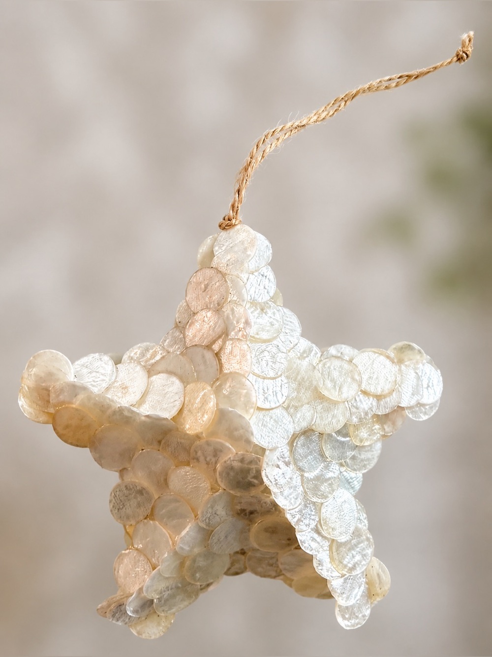 3D Capiz Shell Star Ornament Coastal Beach Boho Decor